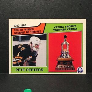 983-84 O-PEE-CHEE HOCKEY #209 PETE PEETERS TROPHY WINNER BOSTON BRUINS